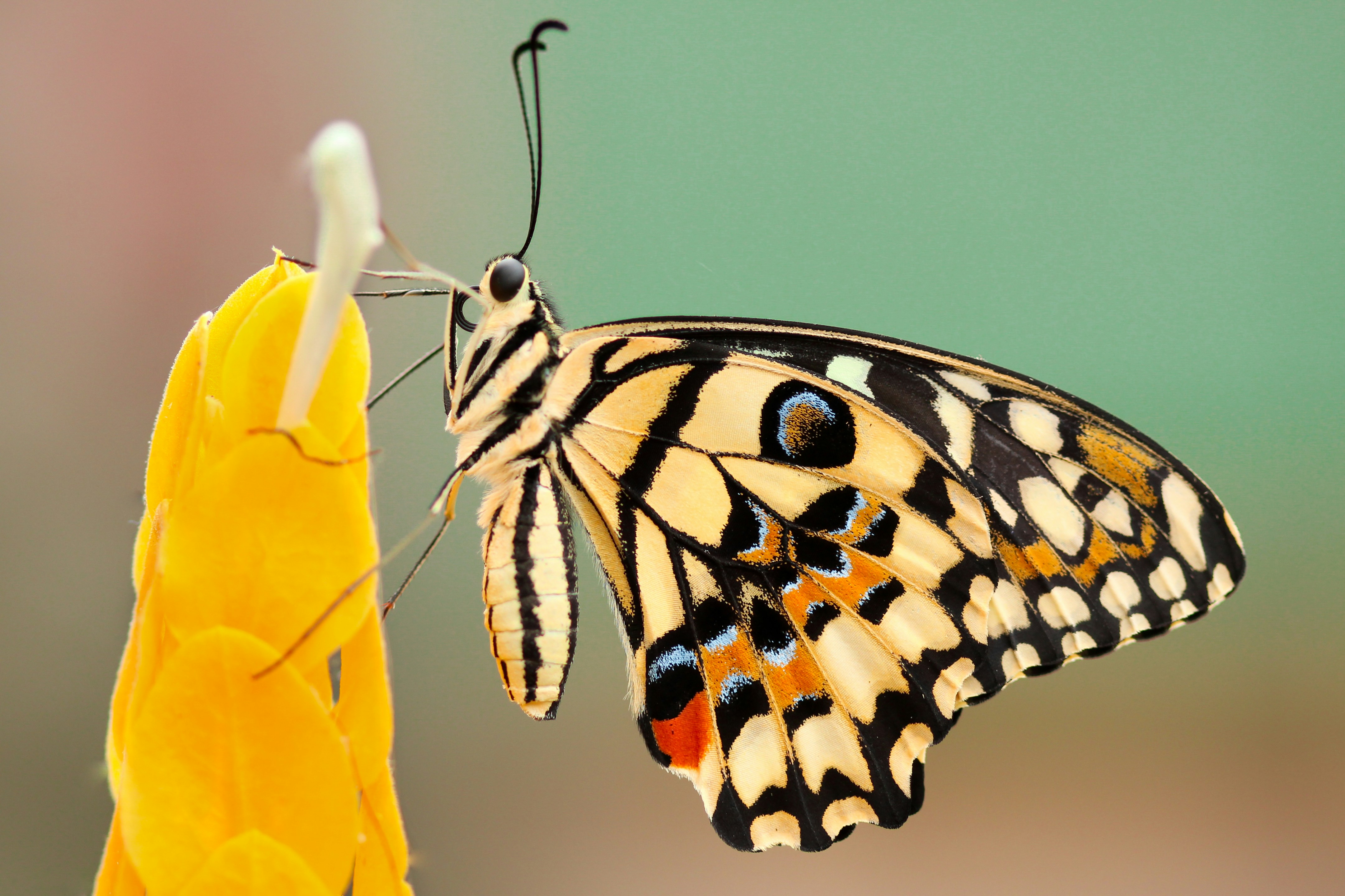 Fear of Change: How to Stop Being Afraid of Change in Life
