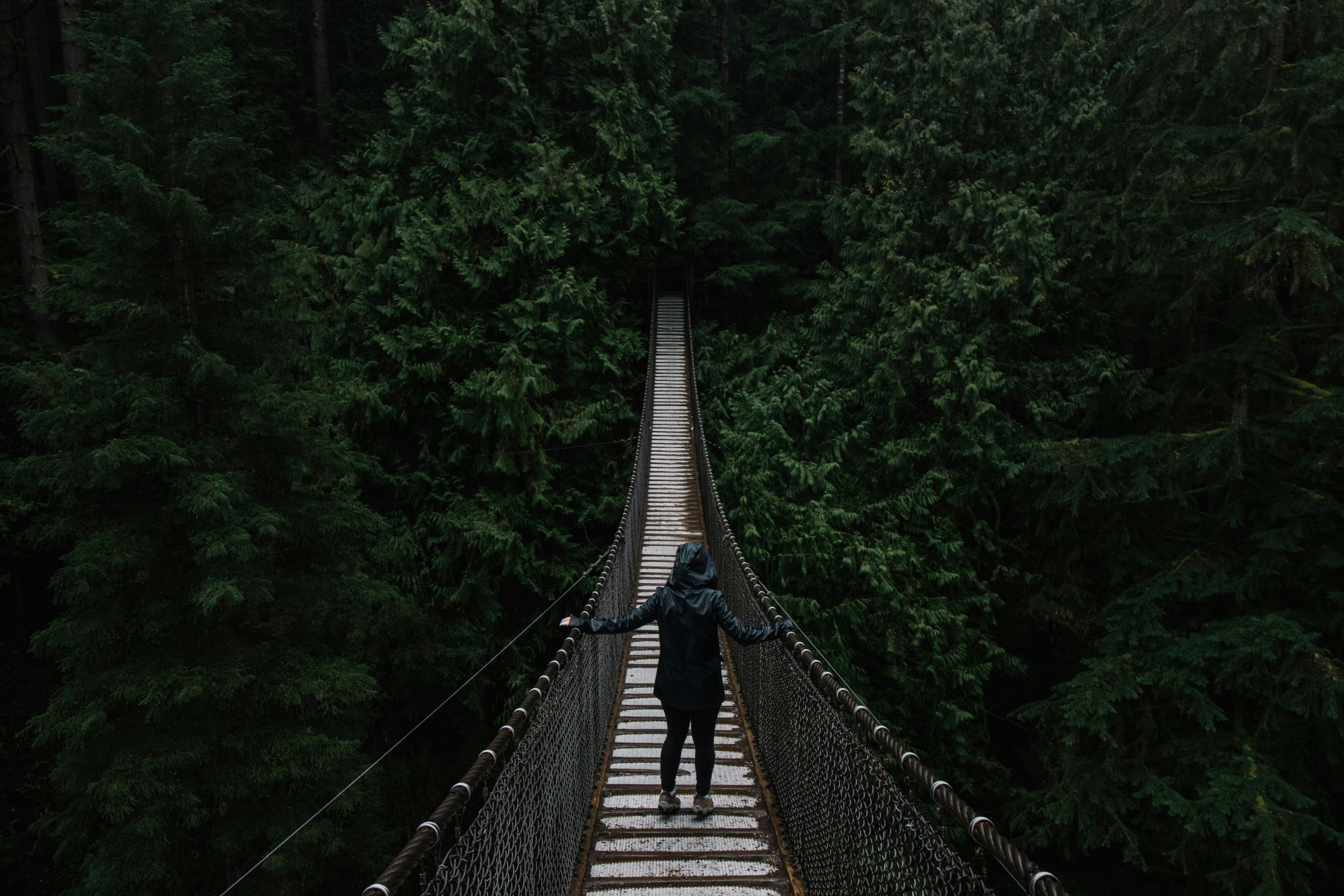 Photo by Glen Jackson on Unsplash, psychology, psychologist's advice, online psychologist, how to stop being afraid of change, fear of changes in life, how to get rid of negative thoughts, how to get rid of fear, psychological techniques, psychological exercises